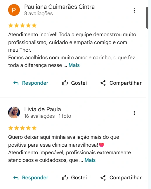 Avaliação de cliente no Google sobre a AC Pet