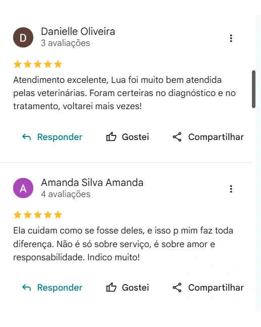 Avaliação de cliente no Google sobre a AC Pet