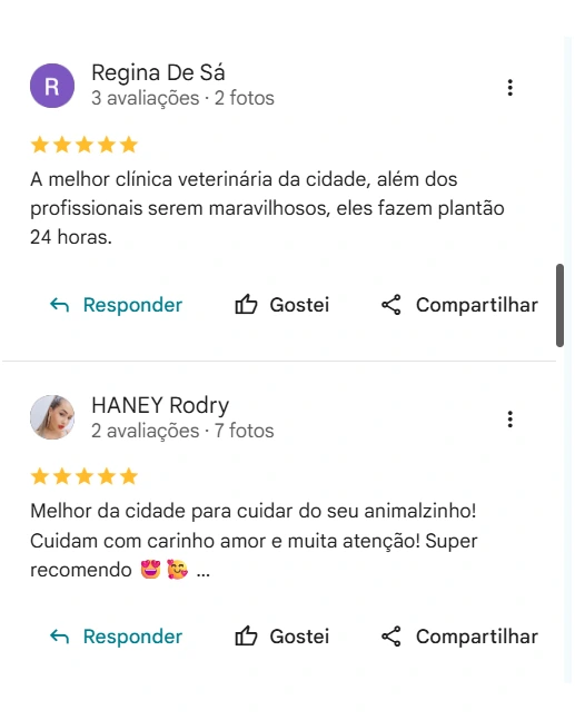Avaliação de cliente no Google sobre a AC Pet