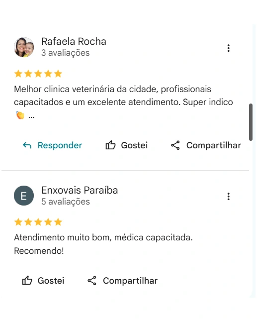 Avaliação de cliente no Google sobre a AC Pet
