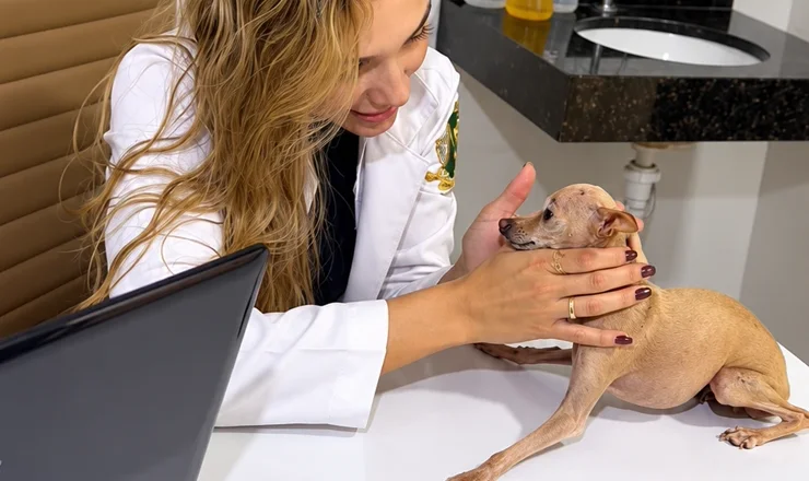 Veterinária da AC Pet examinando um cãozinho