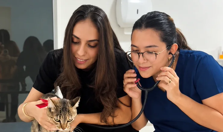 Equipe da AC Pet examinando um gato