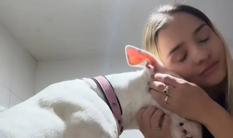 Tutora abraçando seu cão na AC Pet