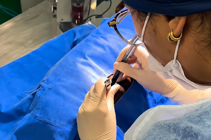 Cirurgia em andamento na AC Pet