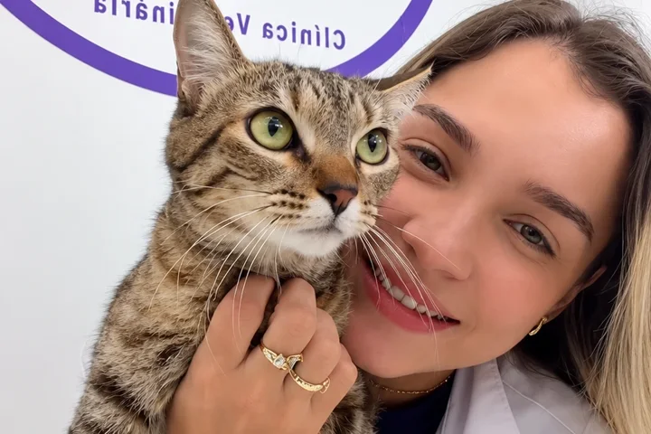 Veterinária da AC Pet com um gato no colo